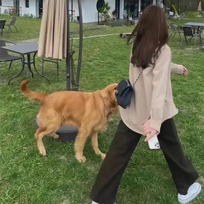行走天际:极限爱情故事