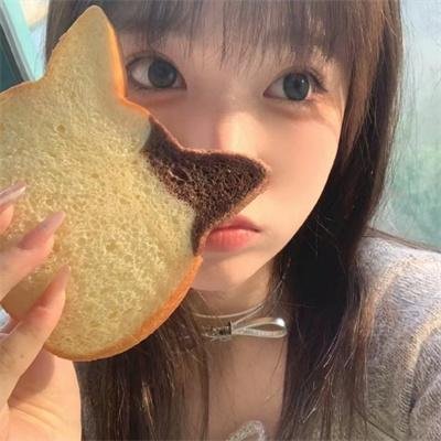 黑暗动物