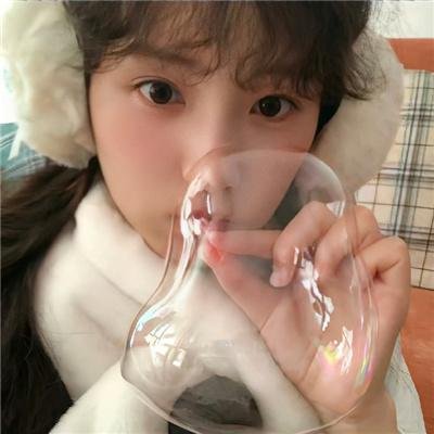 诺瓦利斯的蓝玫瑰